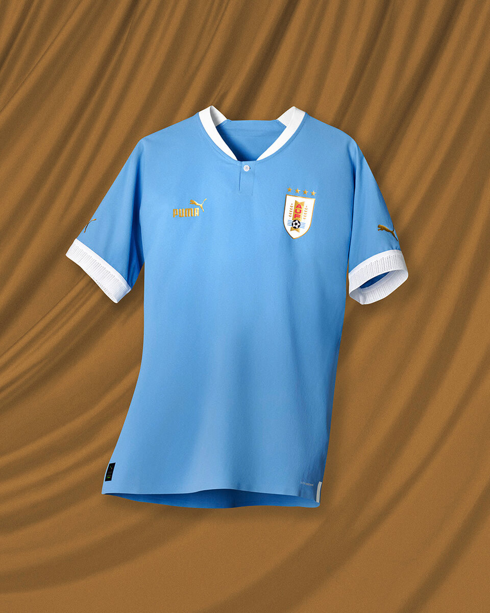 Uruguay 2022 World Cup Home Jersey (1).jpg