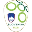 Slovenia - Pro Jersey Shop