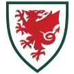 Wales - Pro Jersey Shop