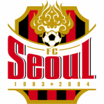 FC Seoul - Pro Jersey Shop