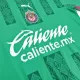Chivas Soccer Jersey "Mexico" Special Replica 2022/23 Puma - Pro Jersey Shop