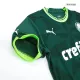 Men's Replica SE Palmeiras Home Soccer Jersey Shirt 2023/24 Puma - Pro Jersey Shop