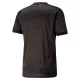 Men's Authentic Borussia Dortmund Special Soccer Jersey Shirt 2022/23 Puma - Pro Jersey Shop