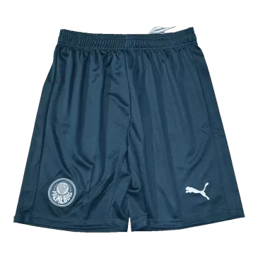 Men's SE Palmeiras Away Soccer Shorts 2023/24 Puma - Pro Jersey Shop