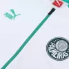 Men's SE Palmeiras Training Jacket Kit (Jacket+Pants) 2023/24 - Pro Jersey Shop