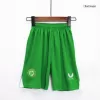 Kids Ireland Away Soccer Jersey Kit (Jersey+Shorts) 2023 - Pro Jersey Shop