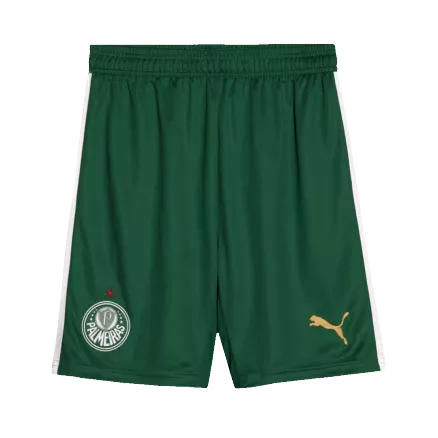 Men's SE Palmeiras Away Soccer Shorts 2024/25 - Pro Jersey Shop