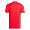 Men's Wales Home Soccer Jersey Shirt EURO 2024 - Fan Version - Pro Jersey Shop