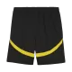 Men's Borussia Dortmund Home Soccer Jersey Whole Kit (Jersey+Shorts+Socks) 2024/25 - Pro Jersey Shop
