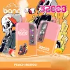 Bang B30 32K Puffs Disposable Vape - Pro Jersey Shop