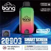 Bang B4 20K Puffs Disposable Vape - Pro Jersey Shop