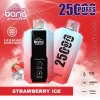 Bang B10 25K Puffs Disposable Vape - Pro Jersey Shop